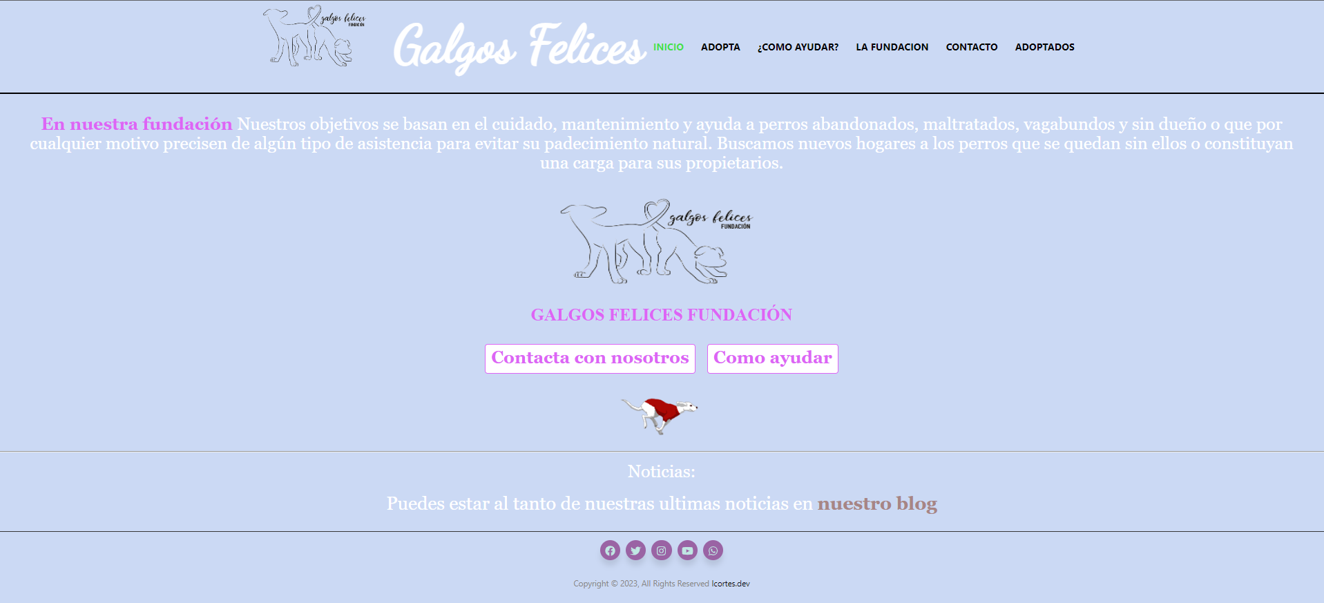 Galgos Felices Protectora